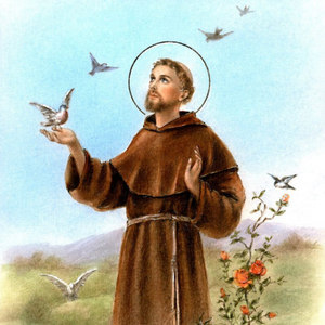 St. Francis Collection
