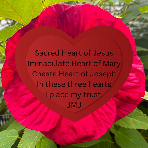 Alliance of the Three Holy Hearts Devotional Medal, Made in Italy