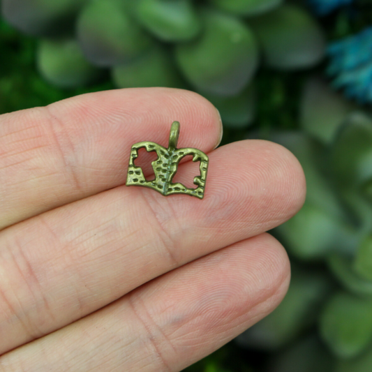 25 bronze tiny bible charms