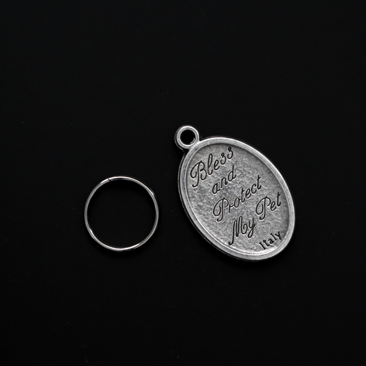 Saint Francis medal that depicts the saint with a wolf on the front. The reverse is marked "Bless and Protect My Pet" in cursive writing
