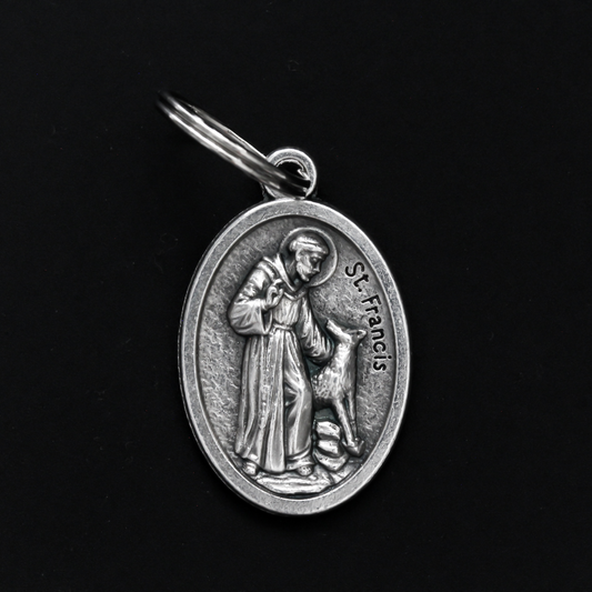 Saint Francis medal that depicts the saint with a wolf on the front. The reverse is marked "Bless and Protect My Pet" in cursive writing
