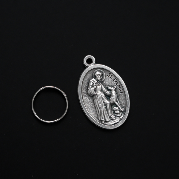 Saint Francis medal that depicts the saint with a wolf on the front. The reverse is marked "Bless and Protect My Pet" in cursive writing