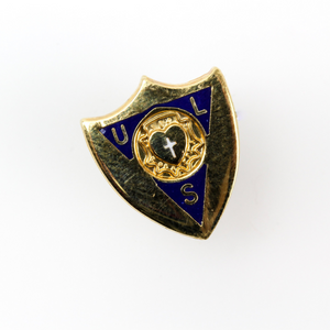 vintage brass enamel cross and shield lapel pin